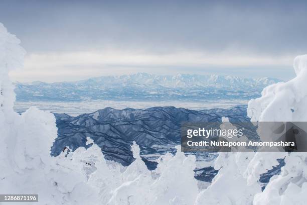 snow mountains of zao - prefectura de miyagi fotografías e imágenes de stock