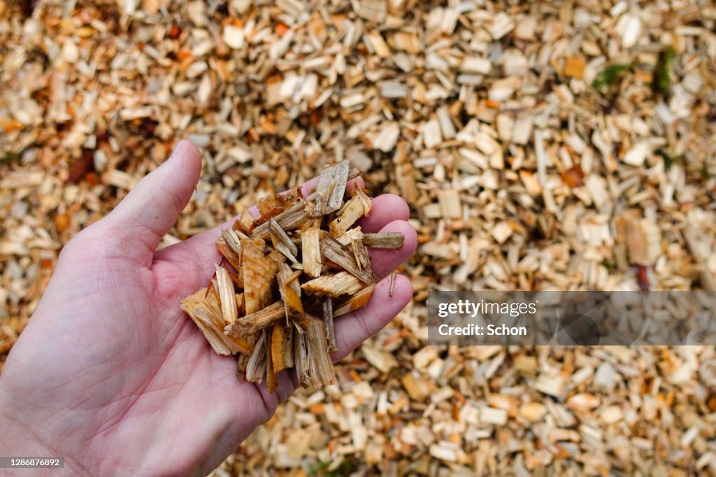 Close up of a hand holding wood chips