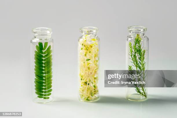 growing microgreen growing on a light grey green background. - cosmetique naturel photos et images de collection