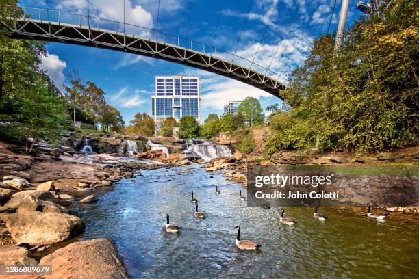 falls park on the reedy, greenville, south carolina - greenville-south-carolina photos et images de collection