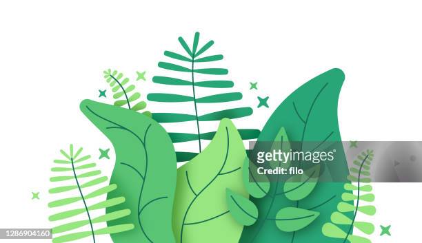 ilustraciones, imágenes clip art, dibujos animados e iconos de stock de plantas de follaje en la selva - tree forest flowers