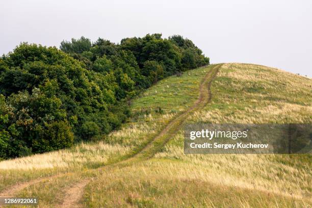 dirt road leading to the top of the hill - copse stock pictures, royalty-free photos & images