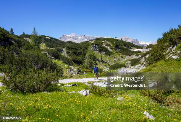 senior man hiking in hoher dachstein during summer - salzkammergut stock pictures, royalty-free photos & images