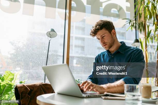 young businessman working on laptop at table in restaurant - young professionals in resturant stock pictures, royalty-free photos & images