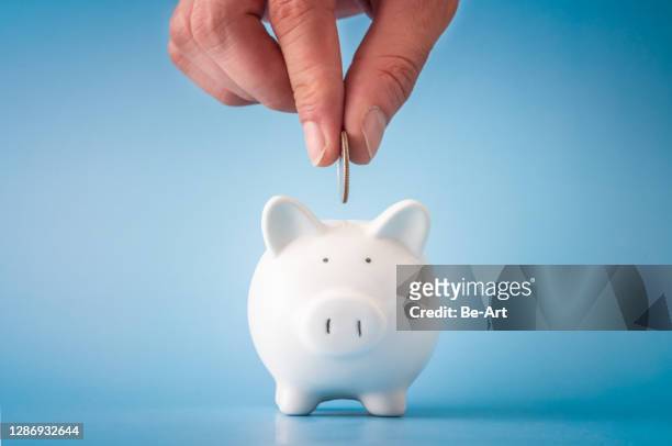 savings - piggy bank stock pictures, royalty-free photos & images