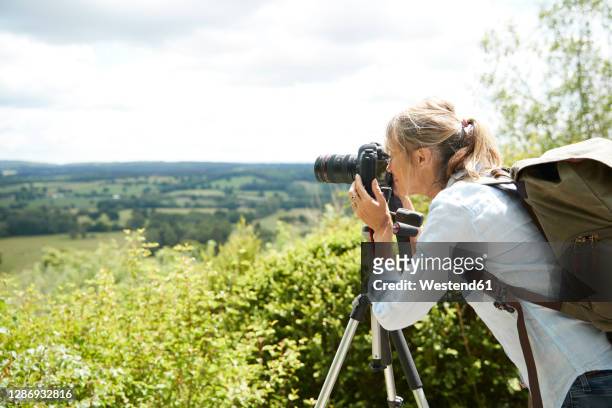 active senior woman taking picture with camera of nature on sunny day - digitale spiegelreflexcamera stockfoto's en -beelden
