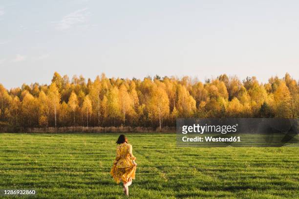 mid adult woman walking on grass in autumn field on sunny day - yellow dress stock pictures, royalty-free photos & images