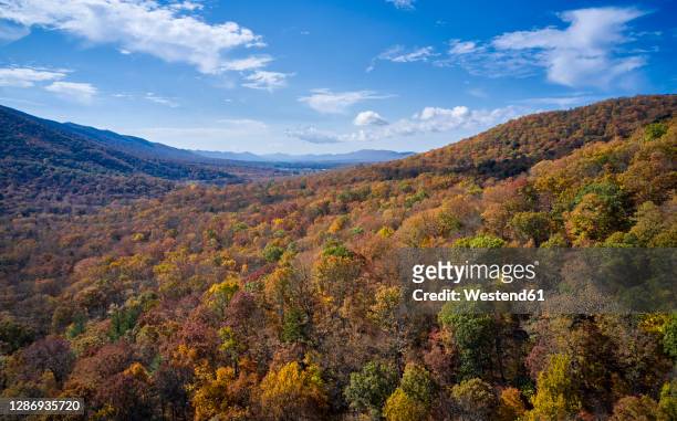 aerial view ofgeorge washington and jefferson national forests in autumn - appalachia stock pictures, royalty-free photos & images