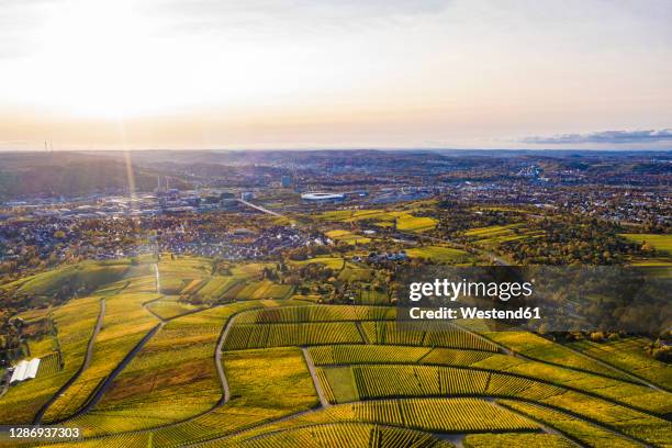 germany, baden-wurttemberg,stuttgart, aerial view of vast countryside vineyards at autumn sunset - stuttgart village stock pictures, royalty-free photos & images