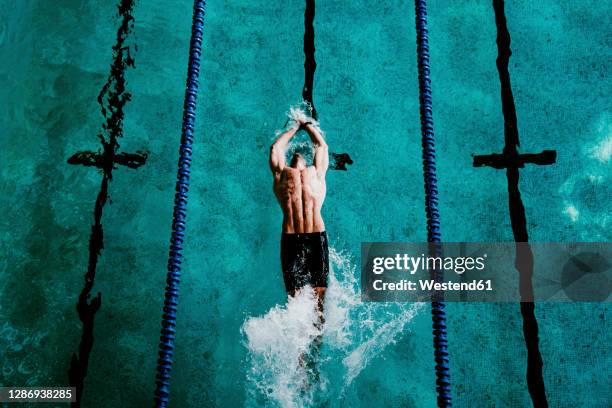 Backstroke Images Backstroke Pool Photos and Premium High Res Pictures - Getty Images