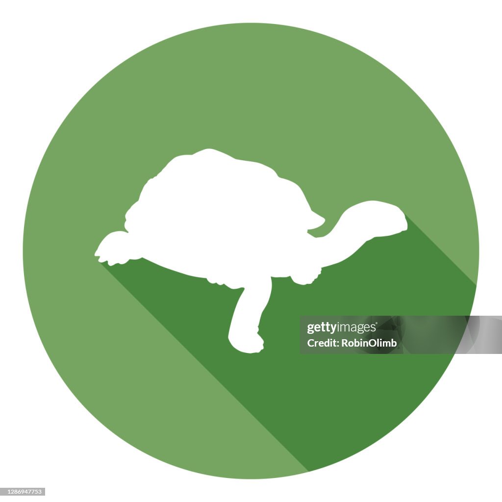 Tortoise Icon