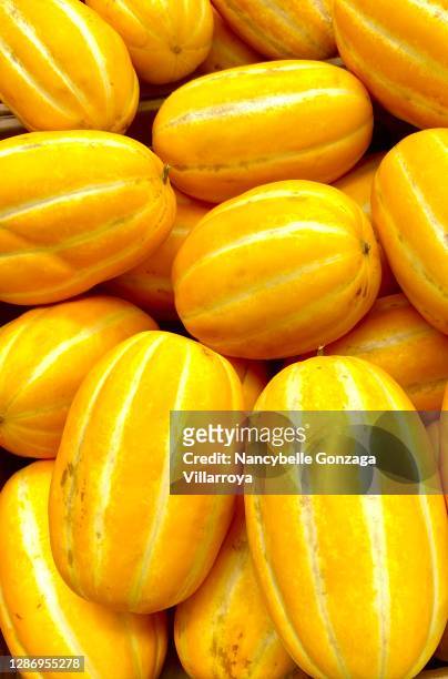 bright yellow korean honey melon - gladde meloen stockfoto's en -beelden