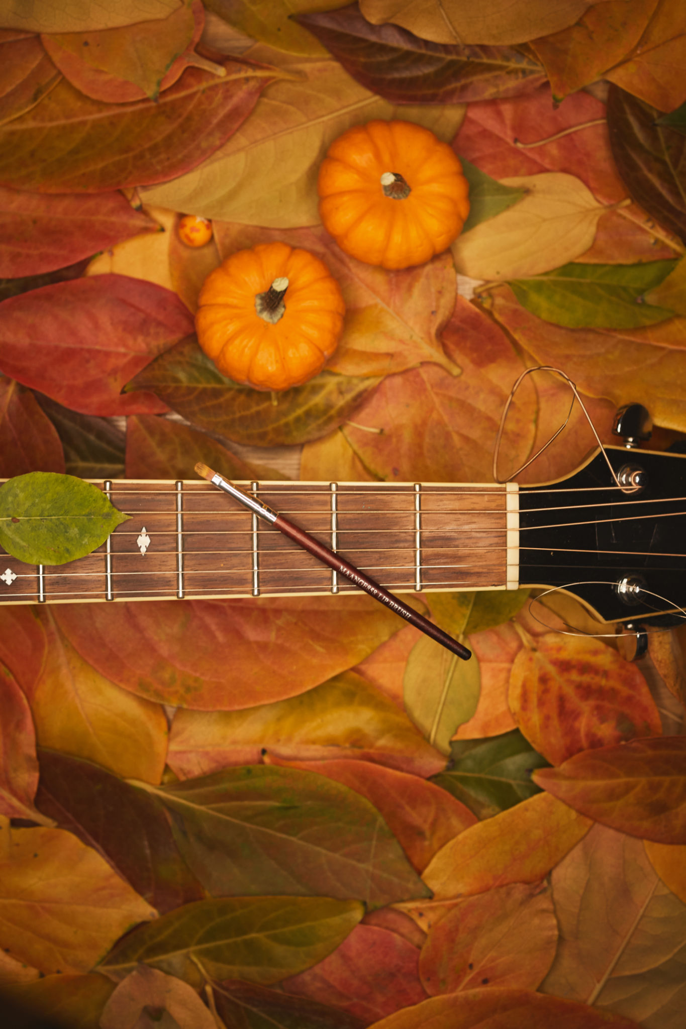 autumn music therapy