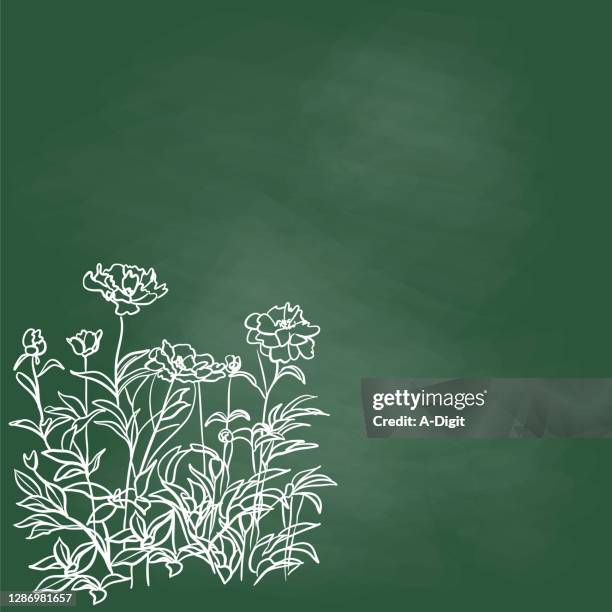 peonies bush chalkboard - flowers chalk drawings stock illustrations