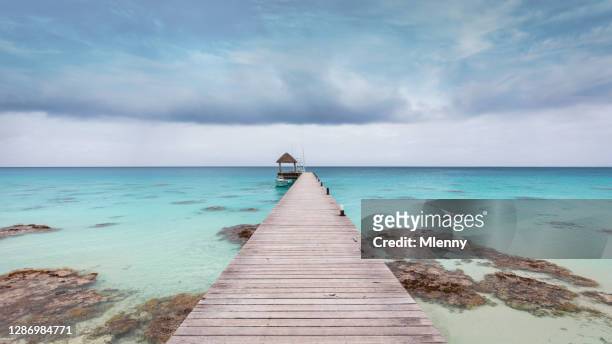fakarava island wooden jetty into natural turquoise atoll lagoon french polynesia - tuamotu islands stock pictures, royalty-free photos & images