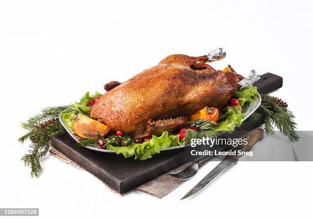 food photography of christmas and thanksgiving oven-baked duck side view served in a festive version with fir branches on a white background isolated close up - christmas table turkey stock pictures, royalty-free photos & images