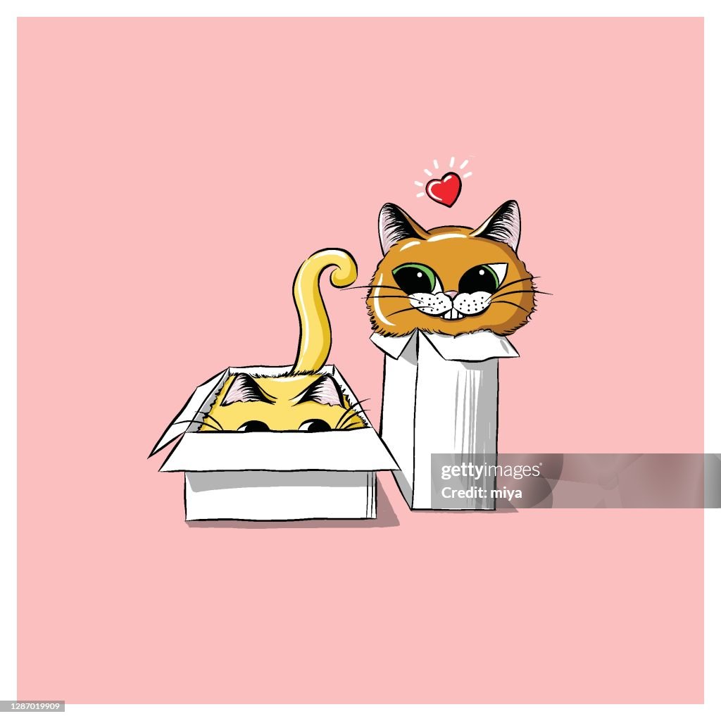 Cute cats. Fluffy cats - Vector illustration