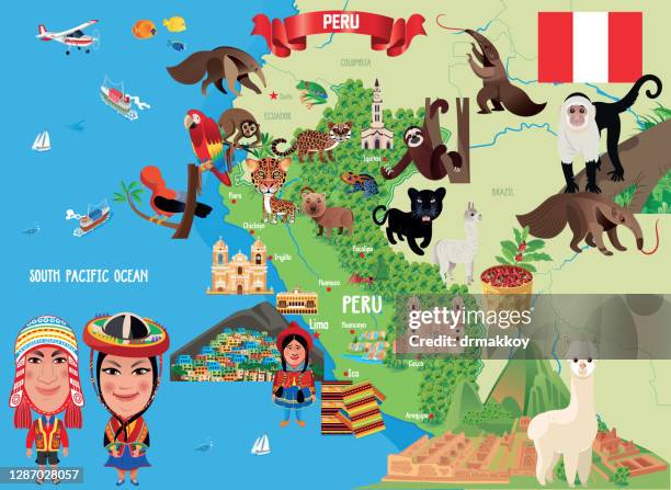 ilustraciones, imágenes clip art, dibujos animados e iconos de stock de mapa de dibujos animados de peru - anteater