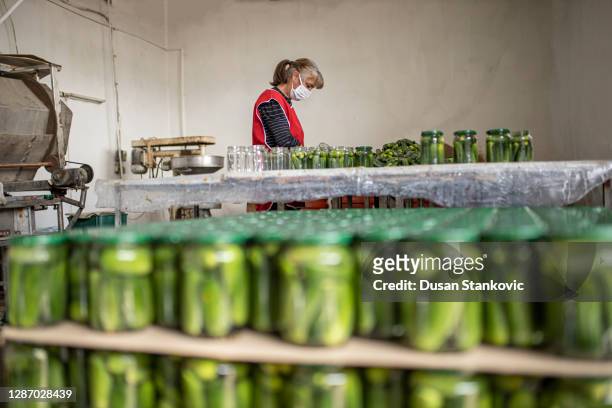 fábrica de alimentos mujer trabajadora empacando pepinos en frascos - farm produce market fotografías e imágenes de stock