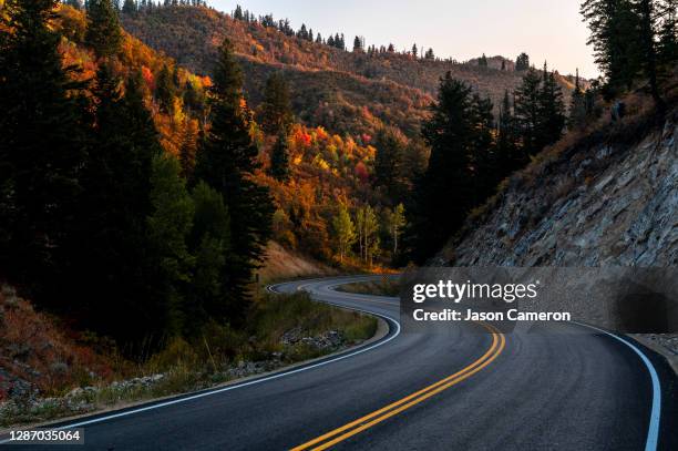 a mountain road winding through a colorful autumn morning scene - mountain roads stock pictures, royalty-free photos & images