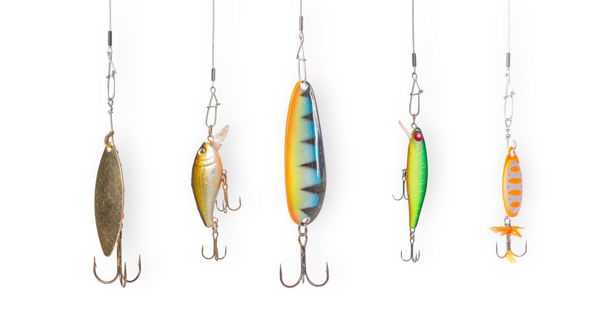 fishing bait