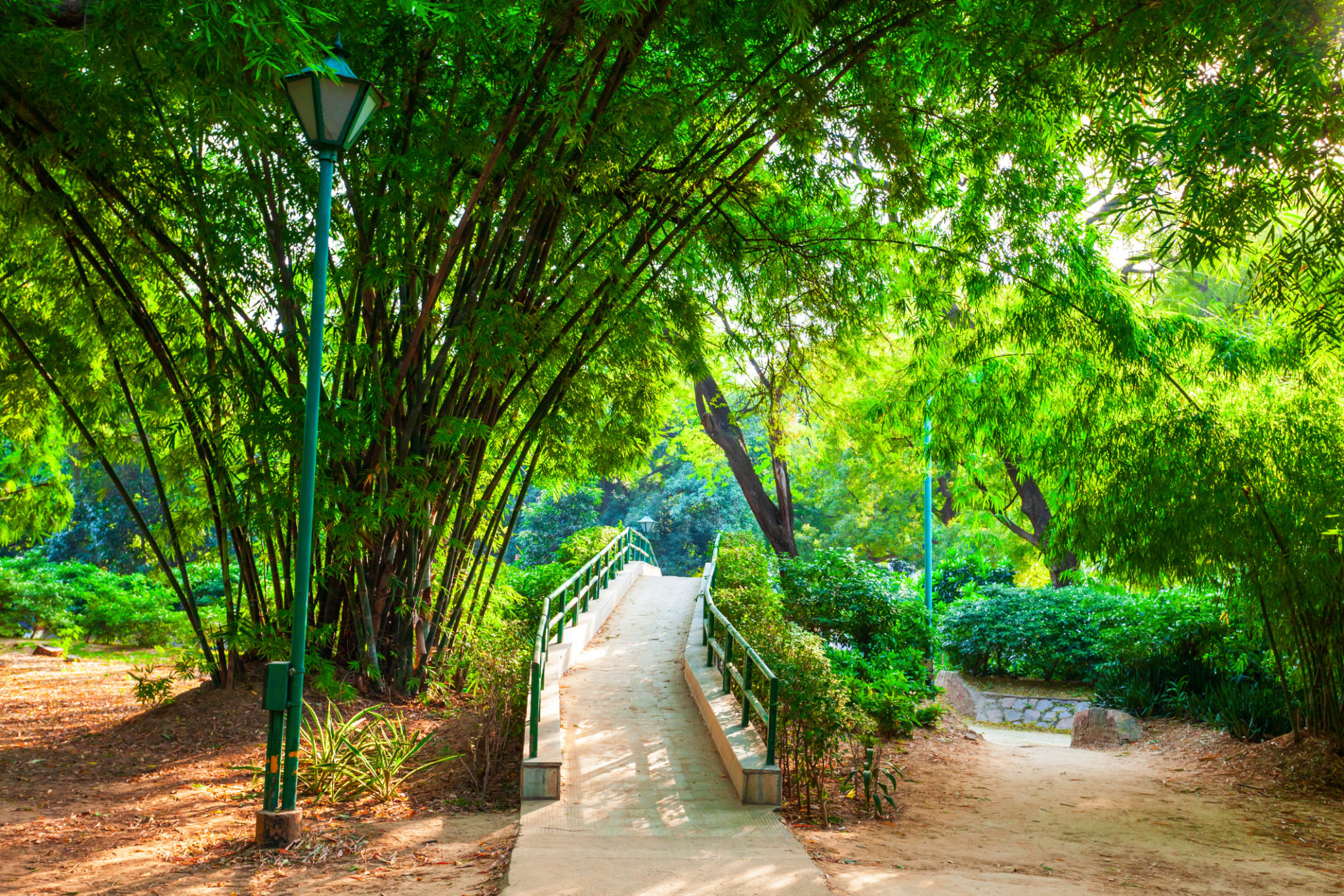 west delhi park