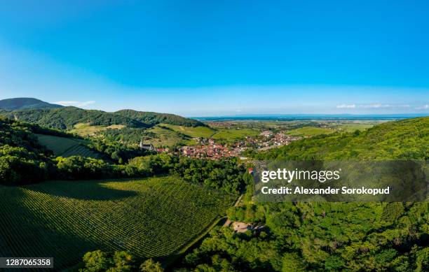 spherical panorama, alsace in summer top view, vineyards and small villages, france - lotharingen stockfoto's en -beelden