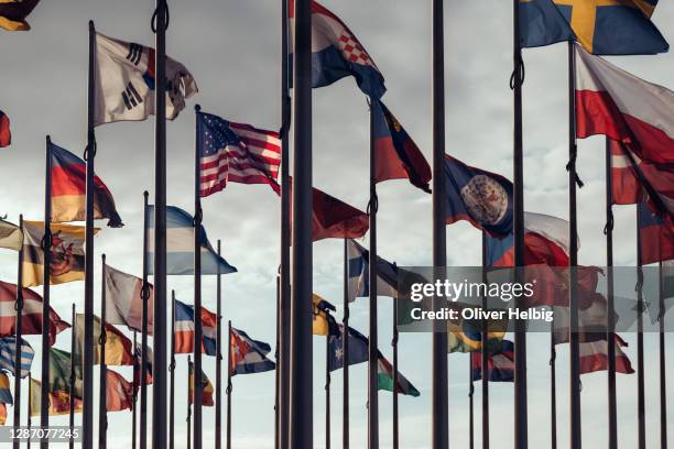 flags of different nations on high flagpoles - comunidade global imagens e fotografias de stock