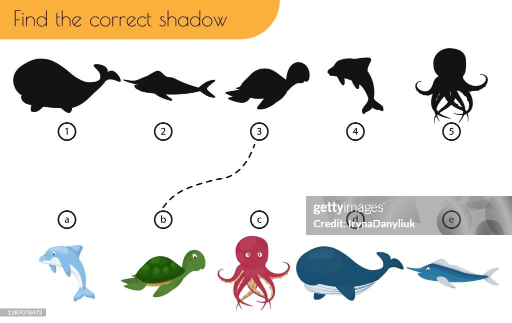 Shadow Matching Difficult Find The Correct Shadow Matching Game For Children High-Res Vector ...