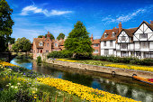 The Great Stour River Running through the City of Canterbury, Near the Westgate Towers, Kent, England