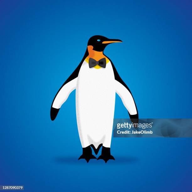 penguin bowtie icon flat 2 - penguin icon stock illustrations