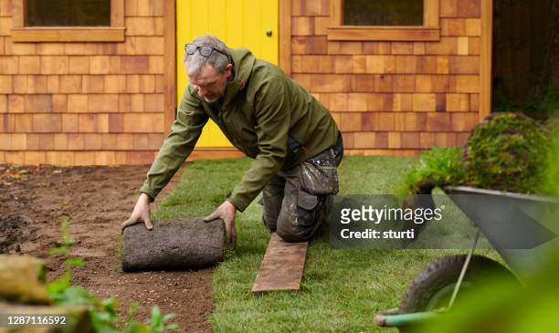 laying turf around the man cave - turf installation stock pictures, royalty-free photos & images