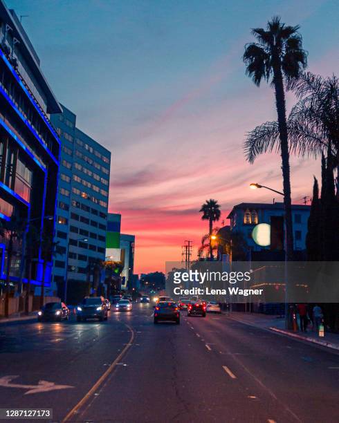sunset drive on los angeles street - west hollywood california stock pictures, royalty-free photos & images
