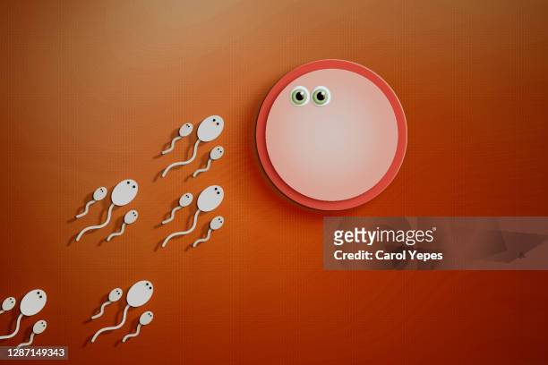 sperm cells about to fertilize an ovum in paperwork - animal stage stockfoto's en -beelden
