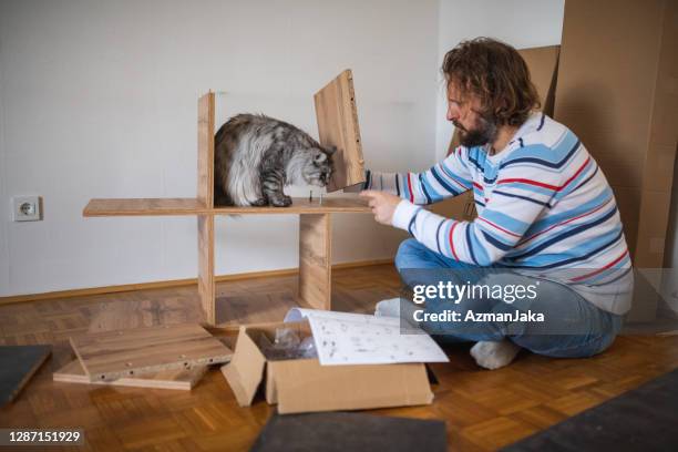 caucasian man building furniture with domestic cats - cat box stock pictures, royalty-free photos & images