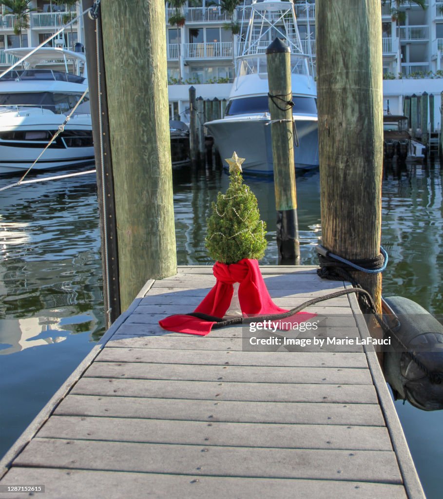 Tiny Christmas tree alone on a boat dock