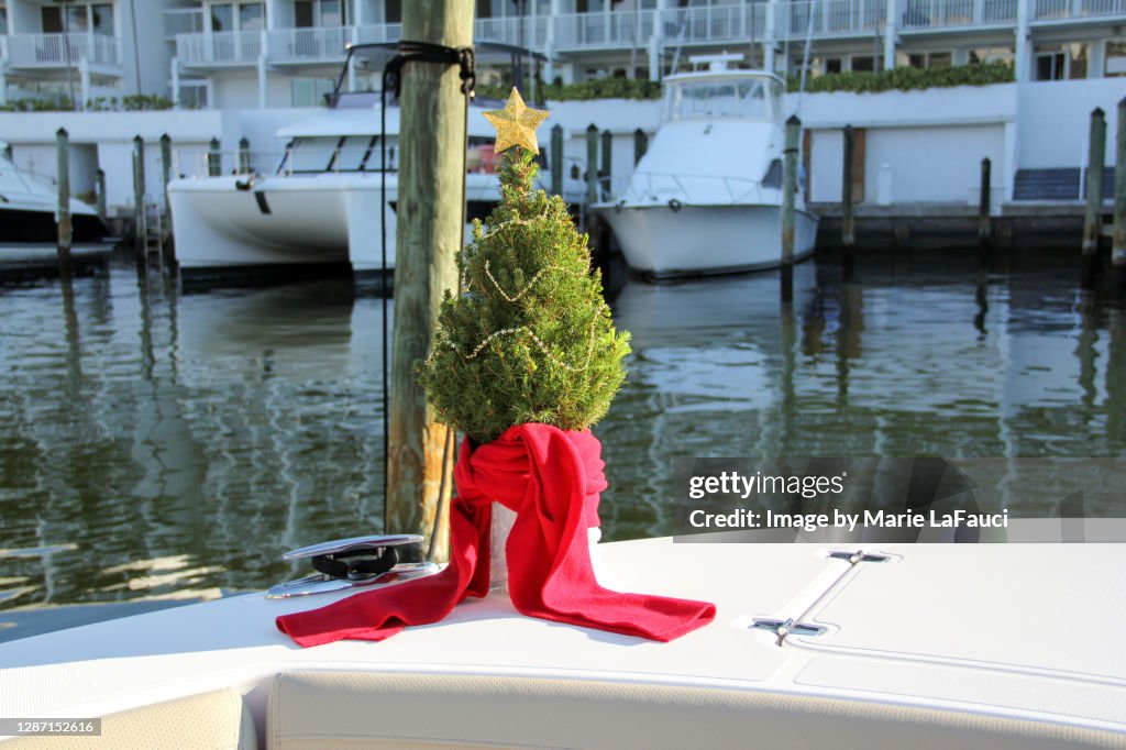 Christmas tree on a boat in a marina
