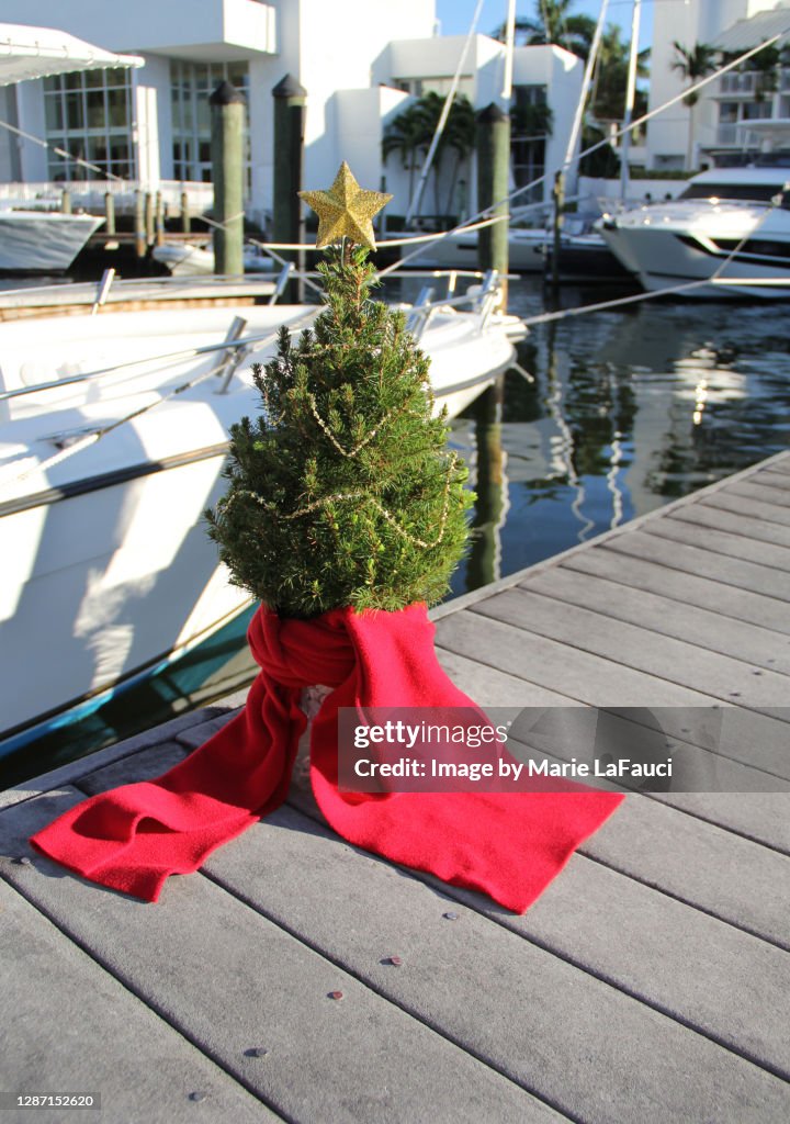 Christmas tree on a boat dock
