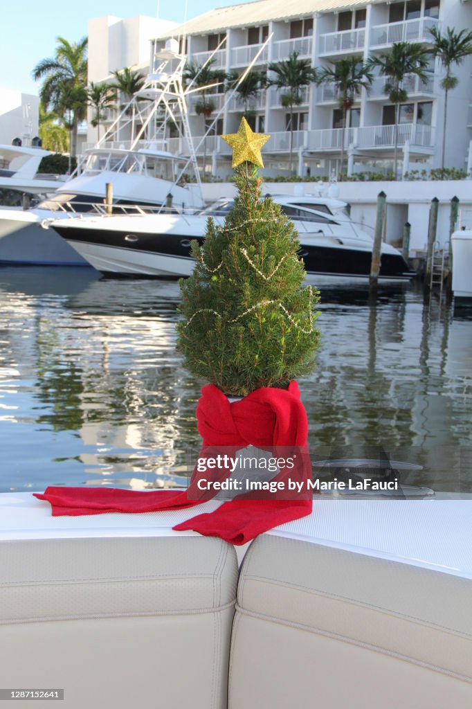 Christmas tree on a boat in a marina
