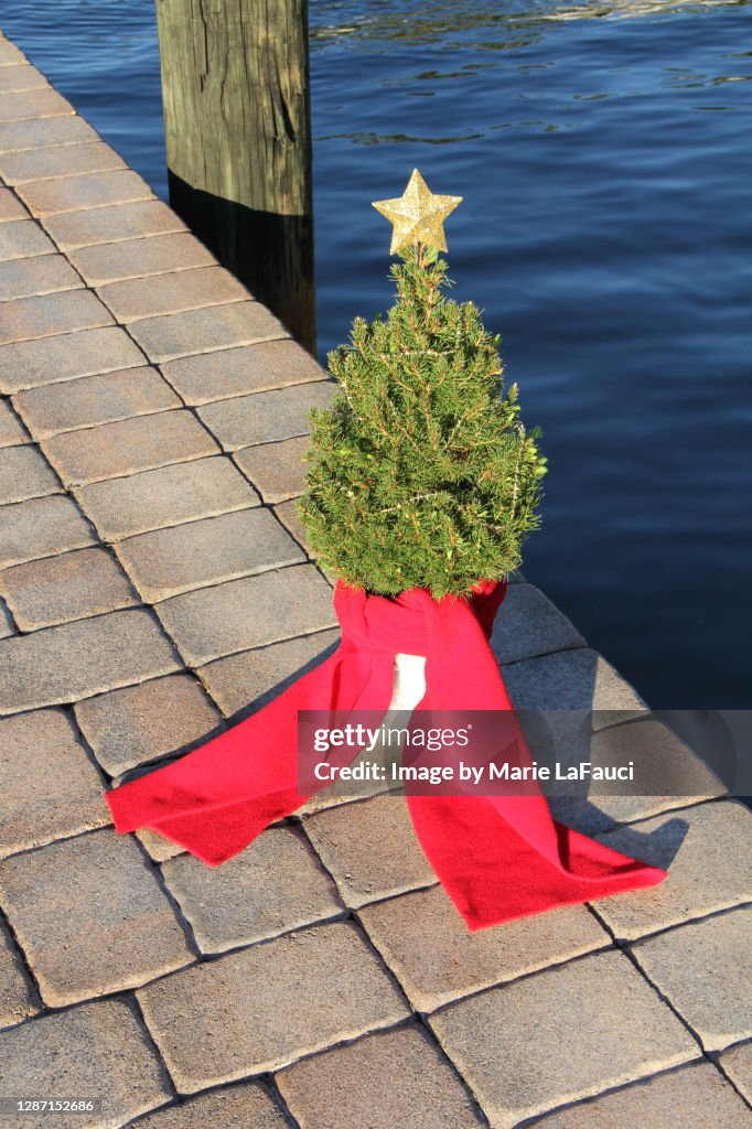 Real Christmas tree displayed at the edge of a boat dock