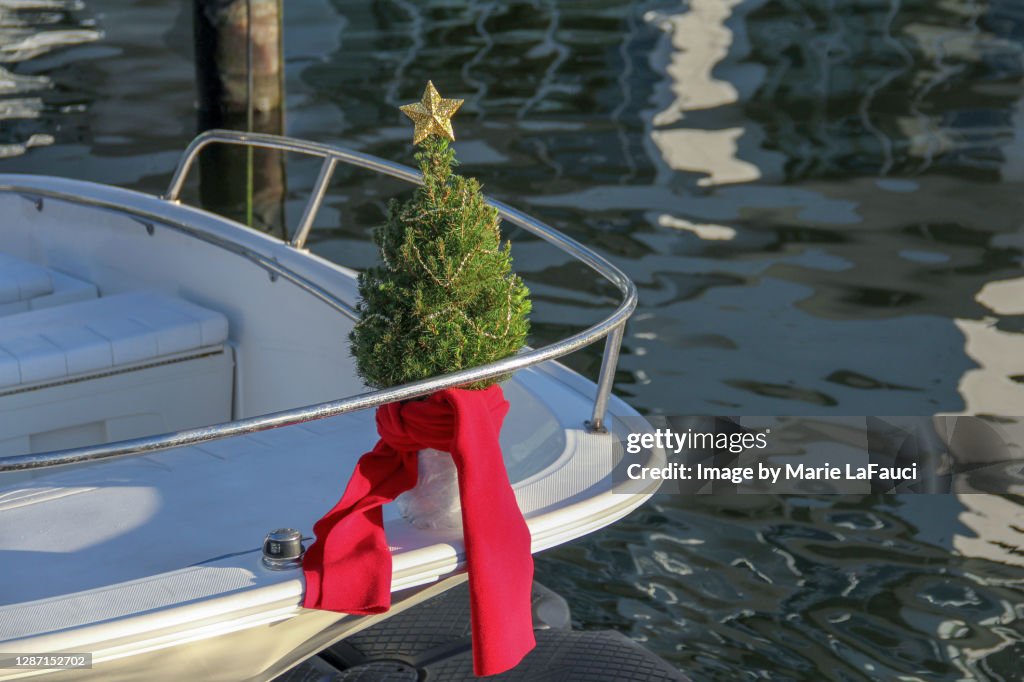Christmas tree on the bow of a boat