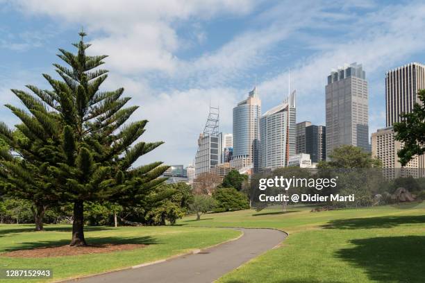 sydney downtown and financial district skyline from a public park in australia largest city - sydney financial district stock pictures, royalty-free photos & images