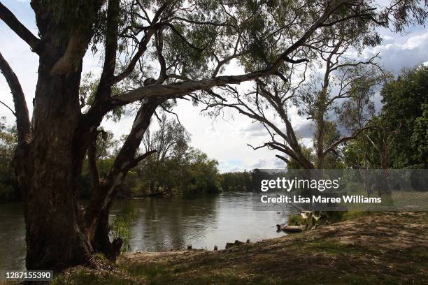 General view of the Murray River flowing through Albury and connecting the New South Wales and Victorian border on November 23, 2020 in Albury,...