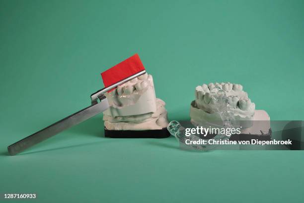 Biology Splints Splint (Laboratory Equipment) Photos and Premium High Res Pictures ...
