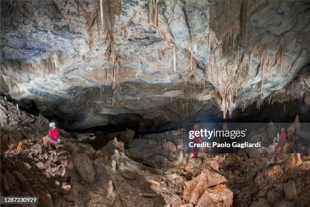 holle hertenklonmen - spelunking stockfoto's en -beelden