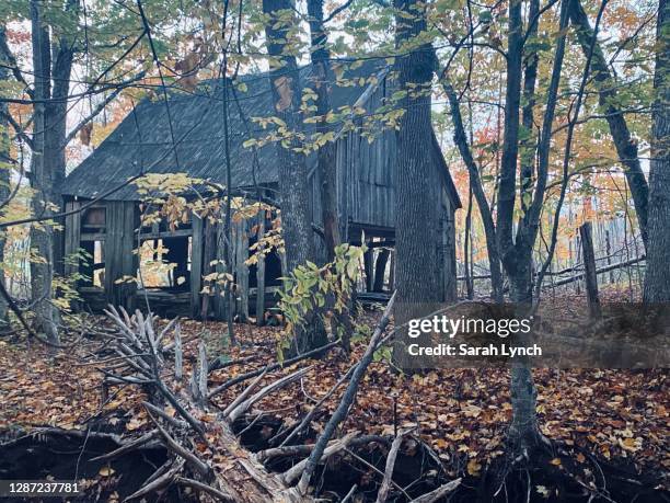 old abandoned barn through fall forest - rugby boot stock pictures, royalty-free photos & images