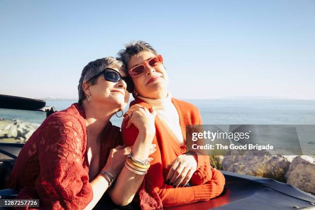 mature women posing for a photo by the sea - sister imagens e fotografias de stock