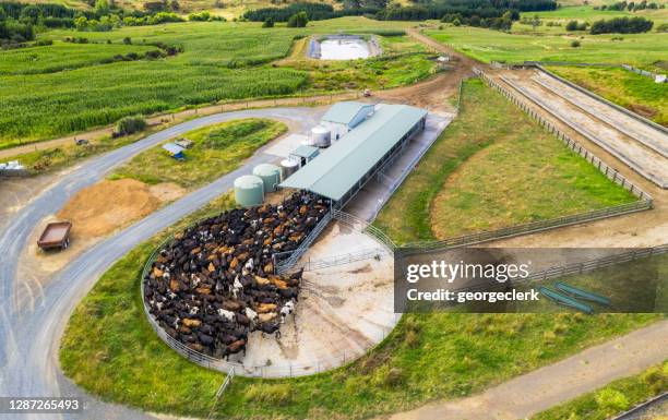 dairy cowshed - aerial panorama - waikato region stock pictures, royalty-free photos & images
