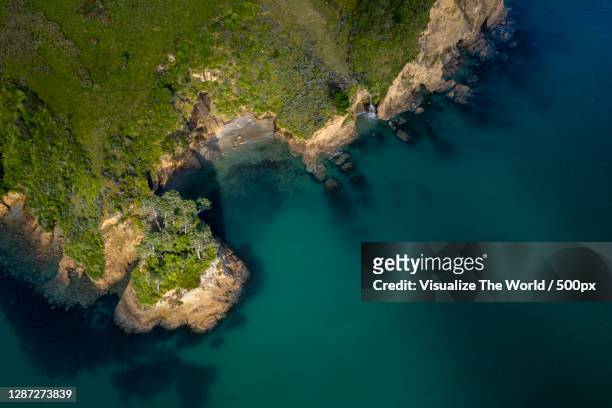 high angle view of rock formation in sea,titirangi road,titirangi,new zealand - marlborough new zealand stock pictures, royalty-free photos & images