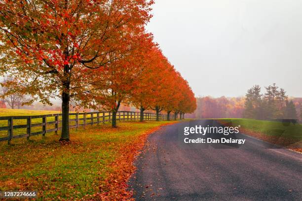 fall road - new jersey landscape stock pictures, royalty-free photos & images